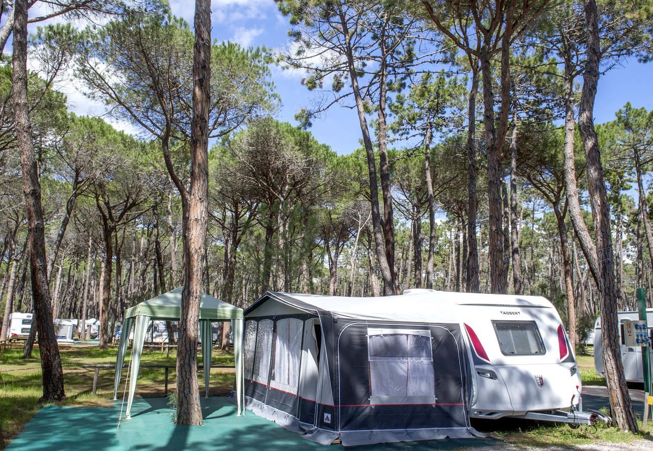 Campeggio Baia Verde Castiglione della Pescaia Luaran gambar